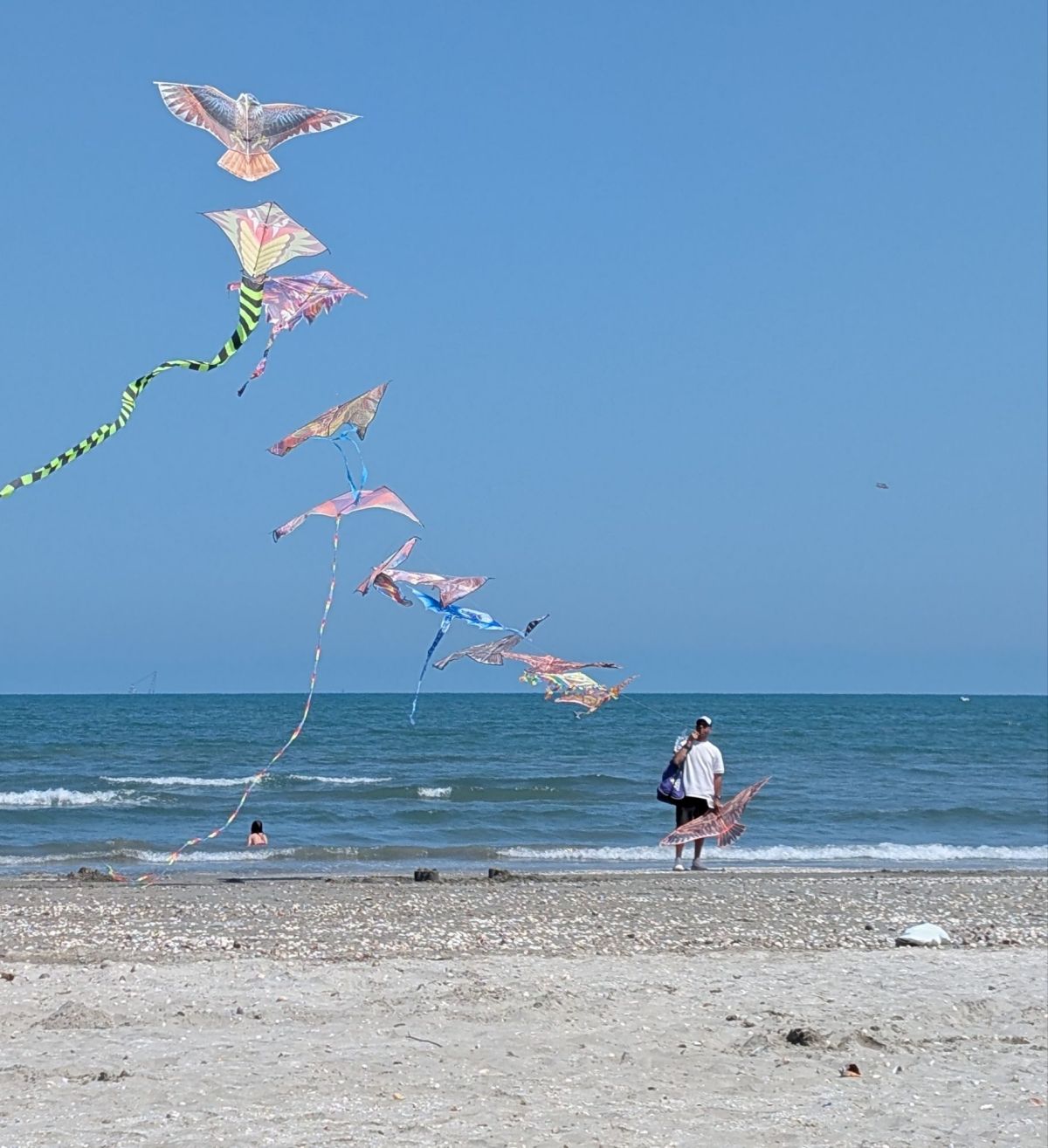 8L054 Mamaia